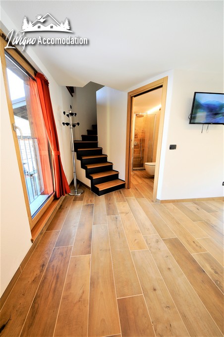 Appartamenti Livigno - Chalet Rin - Patrizia 2 level (19)