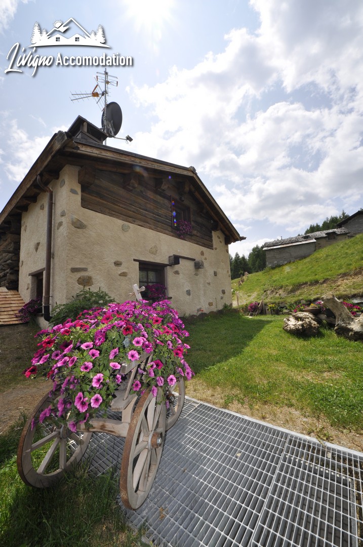 Appartamenti Livigno - Mountain Chalet Scoiattolo esterno (19)