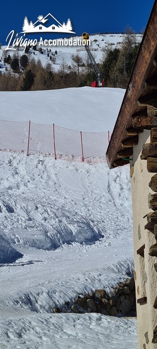 Appartamenti Livigno - Mountain Chalet Scoiattolo esterno (8)